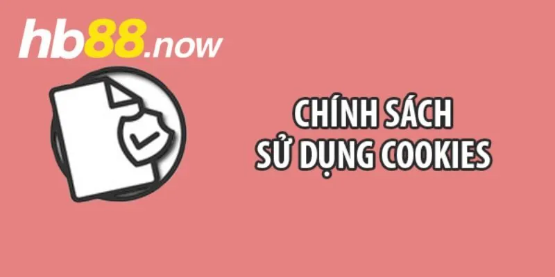 Một vài điều khoản cookie cần ghi nhớ